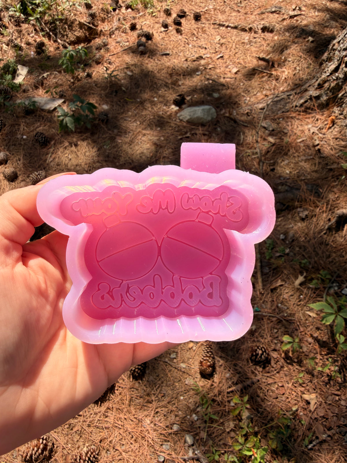 Show Me Your Bobbers Car Freshie | Funny Fishing Air Freshener